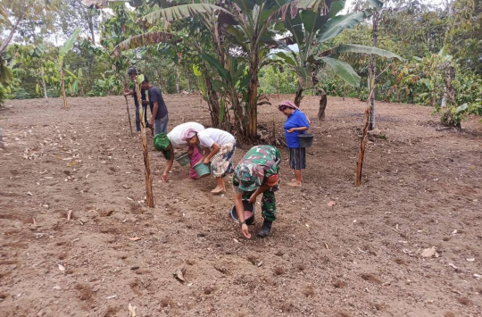 Serka Supriyadi,  turut serta membantu petani Manorus Silalahi menanam padi gogo di lahan seluas sekitar 1 hektare di Desa Sopobutar, Kecamatan Siempat Nempu Hilir