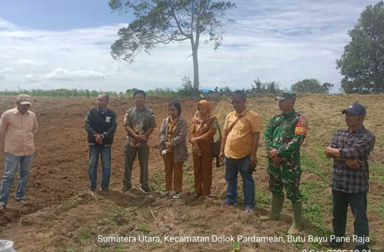 Babinsa Koramil 15/Dolok Pardamean Tanam Jagung di Lahan 6 Hektare Dukung Ketahanan Pangan Nasional