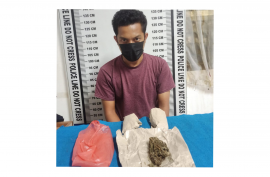 Polisi menunjukkan ganja kering di hadapan DPM