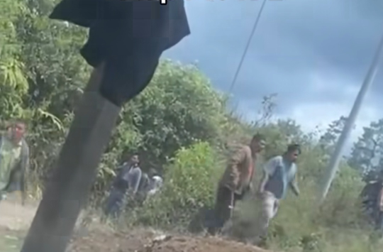 Ratusan karyawan dan petugas keamanan PT Toba Pulp Lestari (TPL) melakukan penggusuran terhadap lahan pertanian Masyarakat Adat Natinggir  pada kamis, (7/8/2025)(Foto: Tangkapan layar)