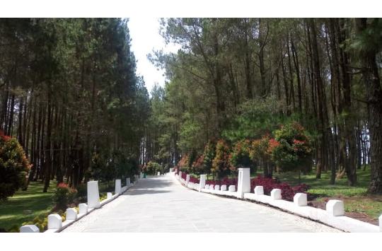 Lokasi wisata Sipinsur