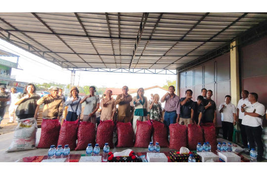 Bupati Tapanuli Utara, JTP Hutabarat , didampingi Ketua TP PKK Nenny Purba, menyerahkan bantuan bibit bawang kepada sejumlah anggota kelompok tani Gapoktan. ( Foto: Loksa Situmeang / Kabarnas.id)