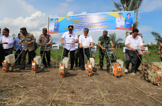 Bupati Taput,JTP Hutabarat  dan Wakil Bupati, Deni P Lumbantoruan saat menanam jagung  di lahan milik kelompok tani Sirpang Bolon, Desa Sirpang Bolon, Garoga pada Jumat, 02 Mei 2025. (Foto: Loksa Situmeang/Kabarnas.com)