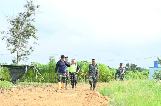 Kolonel Pnb Tarmuji Hadi Susanto, S.AP., M.M., M.Sc., saat meninjau pengelolaan lahan ketahanan pangan yang digarap oleh Dispotdirga Lanud Haluoleo,di Konawe Selatan pada Kamis ,12 Juni  2025).(Foto: Dispenau)