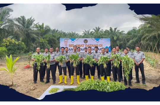 Lapas Pemuda Kelas III Langkat panen sayuran di area Sarana SAE pada Senin 16 Juni  2025. (Foto: Humas Lapada)).