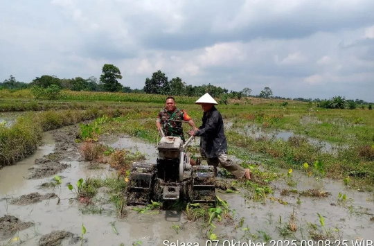 Kopka Misrain Parlindungan saat ikut membajak sawah  warga Dusun Mata Air, Nagori Marihat Dolok, Kecamatan Dolok Panribuan (foto: Pendim 0207/Sml)
