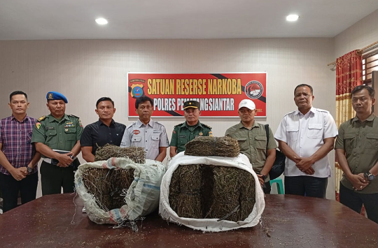 Petugas Kodim 0207/Simalungun saat mengamankan dua karung berisi ganja seberat 49 kilogram yang ditemukan di semak-semak belakang Kampus USI, Pematangsiantar.