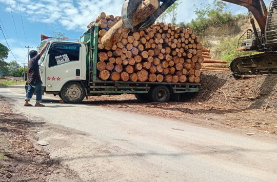 Truk bermuatan kayu pinus ilegal melintas di jalan utama Desa Lobu Sikkam, Kecamatan Sipoholon, tanpa pengawasan aparat.( Foto: Loksa Situmeang/Kabarnas.id)