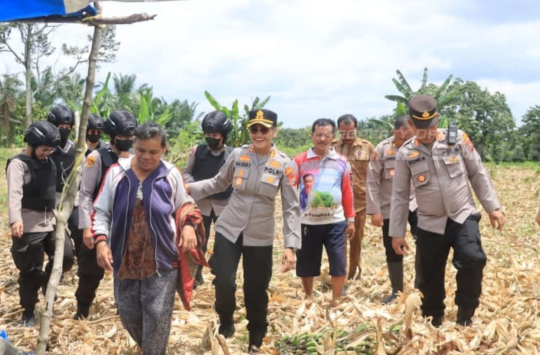 AKBP Sah Udur T.M. Sitinjak saat melaksanakan inspeksi ke lahan jagung di Kelurahan Tong Marimbun, Kecamatan Siantar Marimbun (foto: Humas P.siantar)