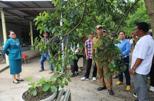 Bupati Taput, JTP Hutabarat bersama Ketua TP PKK saat Visit Farm ke kebun warga di Desa Parbaju Toruan. (Foto: Istimewa)