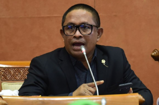 Anggota Komisi VI DPR RI, Rafly Kande. (Foto: Istimewa)