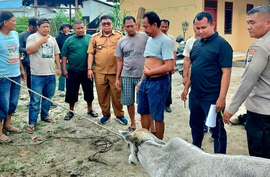 Lurah Sinaksak Turun Langsung Saat Warga Tangkap Terduga Pencuri Anak Lembu di Simalungun
