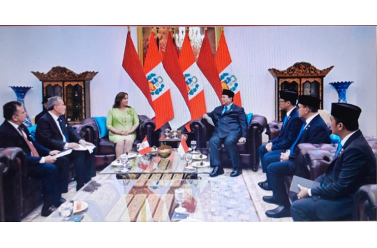 Presiden Republik Peru, Dina Ercilia Boluarte Zegarra, saat kunjungan kenegaraan ke Istana Merdeka (Foto: Sepres BPMI)