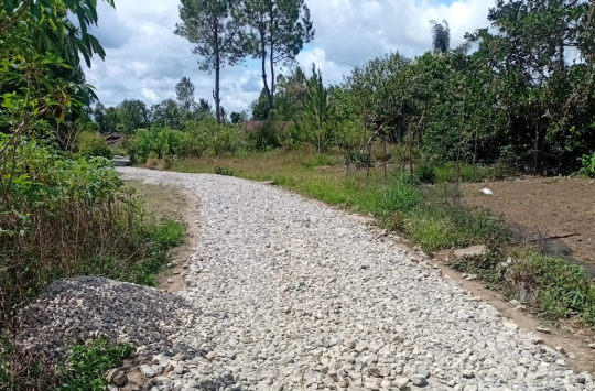 Jalan menuju SMPN 4 Pagaran di Desa Simamora Hasibuan, Kecamatan Pagaran, Kabupaten Tapanuli Utara, tampak rusak dan belum tersentuh aspal meski proyek sudah dua minggu terlambat dikerjakan.(Foto:Loksa Situmeang/Kabarnas.id)