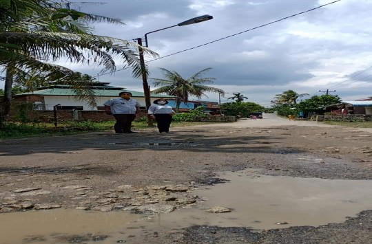 Netty Sianturi meninjau jalan rusak