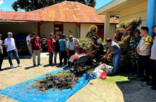 Sulap Eceng Gondok Jadi Pupuk Organik, TP PKK Taput Dorong Solusi Kelangkaan Pupuk Subsidi