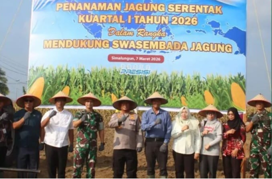 Tanam Jagung Serentak di Simalungun, TNI–Polri dan Pemda Perkuat Ketahanan Pangan Nasional