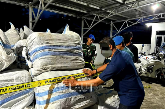 TNI AL dan Bea Cukai Gagalkan Penyelundupan Rp1,7 Miliar di Jayapura, Vanili Super dan Ballpress Diamankan