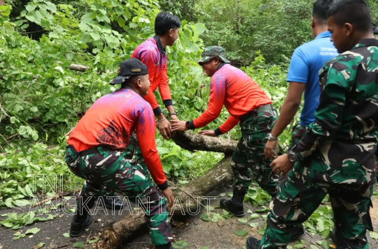 TNI AL Evakuasi Pohon Tumbang di Likupang, Warga Bersyukur Akses Jalan Kembali Normal