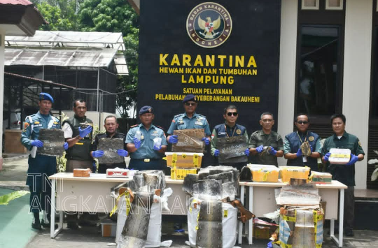 TNI AL Gagalkan Penyelundupan Kulit Ular dan Kura-kura Dilindungi di Pelabuhan Bakauheni