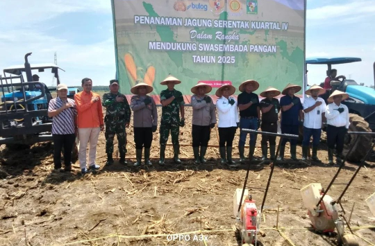 Forkopimda Simalungun saat melaksanakan Penanaman Jagung Serentak Kuartal IV (foto: Pendim0207/Sml)
