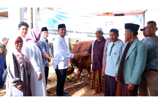 Wabup Dairi Serahkan Sapi Kurban Presiden Prabowo untuk Warga Gunung Sitember