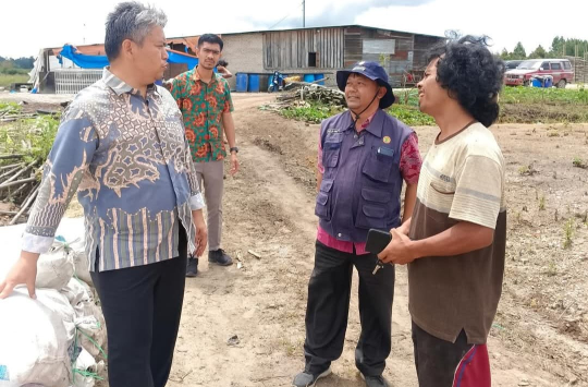 Wakil Bupati Tapanuli Utara, Deni P. Lumbantoruan saat mengunjungi lahan pertanian ubi jalar organik milik Jackson Ompusunggu di Kecamatan Muara,  Kamis, 8 Mei 2025. (Foto: Istimewa)