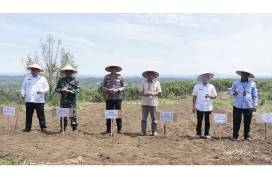 Wakil Bupati Tapanuli Utara Dr. Deni Lumbantoruan, M.Eng, bersama Forkopimda Taput melakukan penanaman jagung simbolis dalam kegiatan Zoom Tanam Jagung Serentak Kuartal IV Tahun 2025 di Desa Sosunggulon, Kecamatan Tarutung, Rabu (8/10/2025).(Foto:Loksa Si